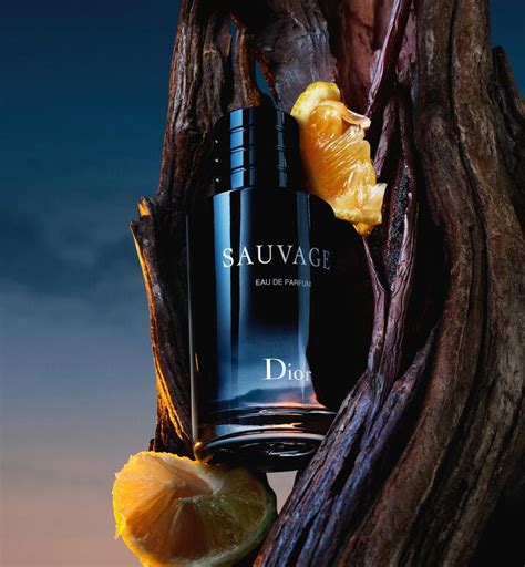 tapparfum dior sauvage|dior sauvage vanilla.